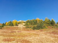 Terres arides après la sécheresse